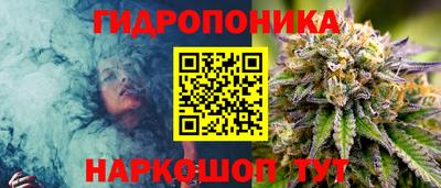 твердый Новодвинск