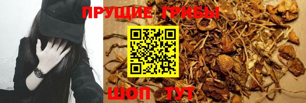 Трёхгорный  Галлюциногенные грибы ЛСД  купить   Псилоцибиновые грибы Cubensis  Вход с VPN 