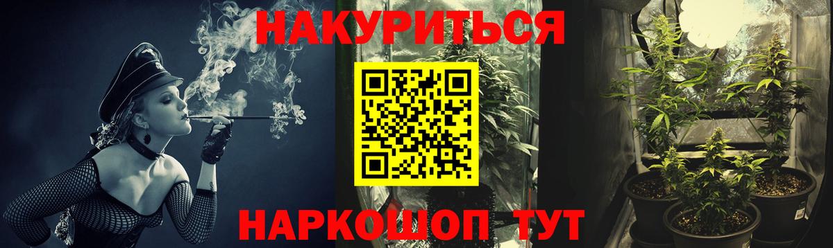 Конопля план  Вход с VPN  Трёхгорный  Каннабис гибрид  Бошки Шишки индика 